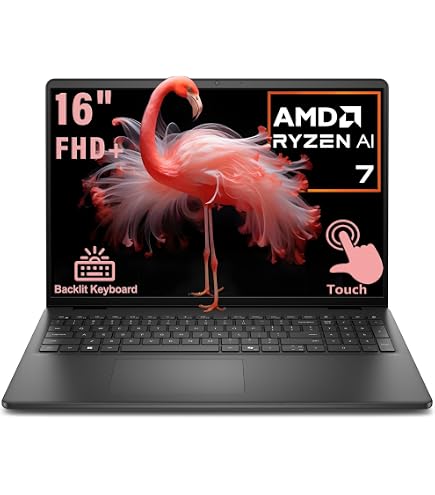 Amazon.com: HP 255 G10 15.6